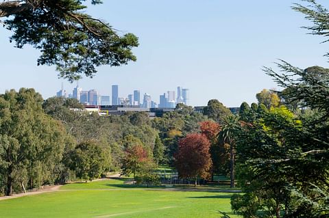 Boroondara Local market update