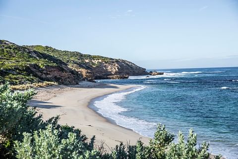 Mornington Peninsula Local market update
