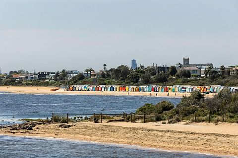 Bayside Local market update