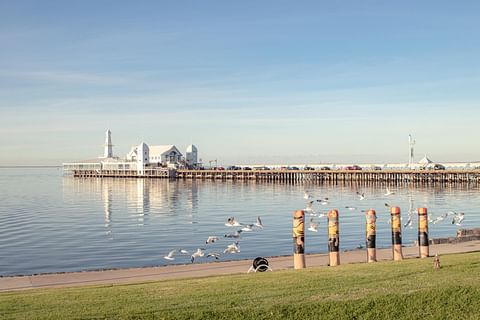 Geelong & surrounds Local market update