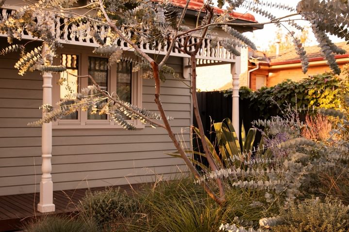 Bent St Autumn 1501 Gemmola