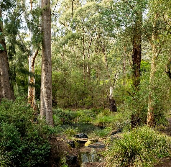 Blackburn Lake 1