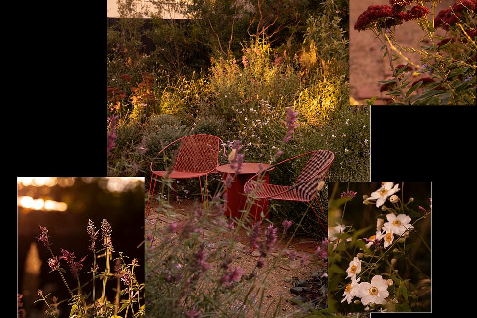 Website Two Image 2
