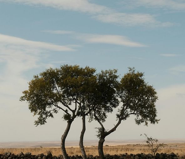 Pexels cafer sevi nc 2150308909 34410639