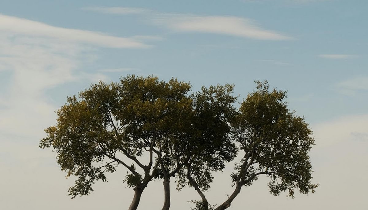 Pexels cafer sevi nc 2150308909 34410639