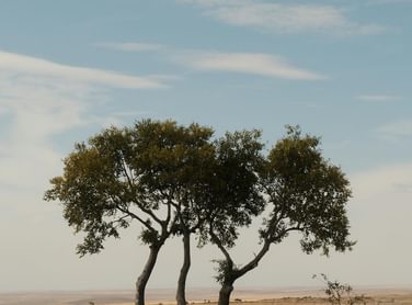 Pexels cafer sevi nc 2150308909 34410639