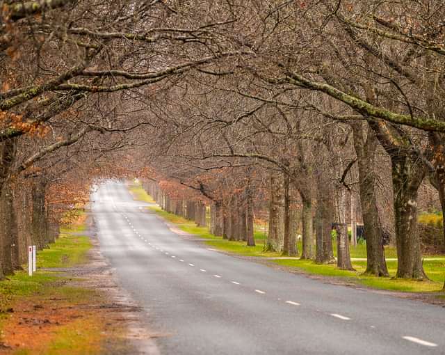 Mount Alexander Shire