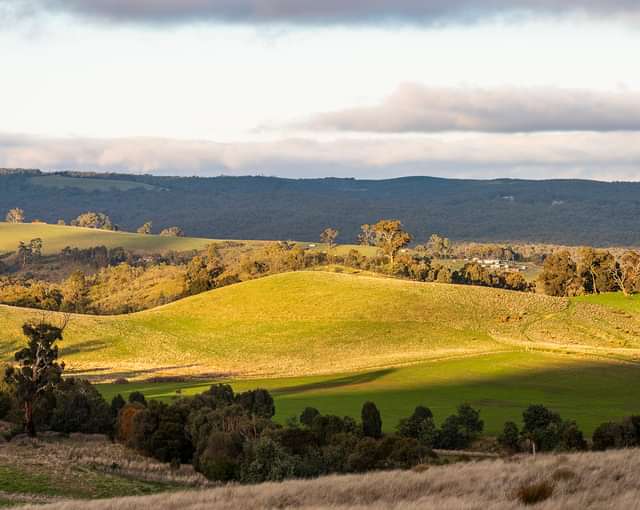 Macedon Ranges Shire